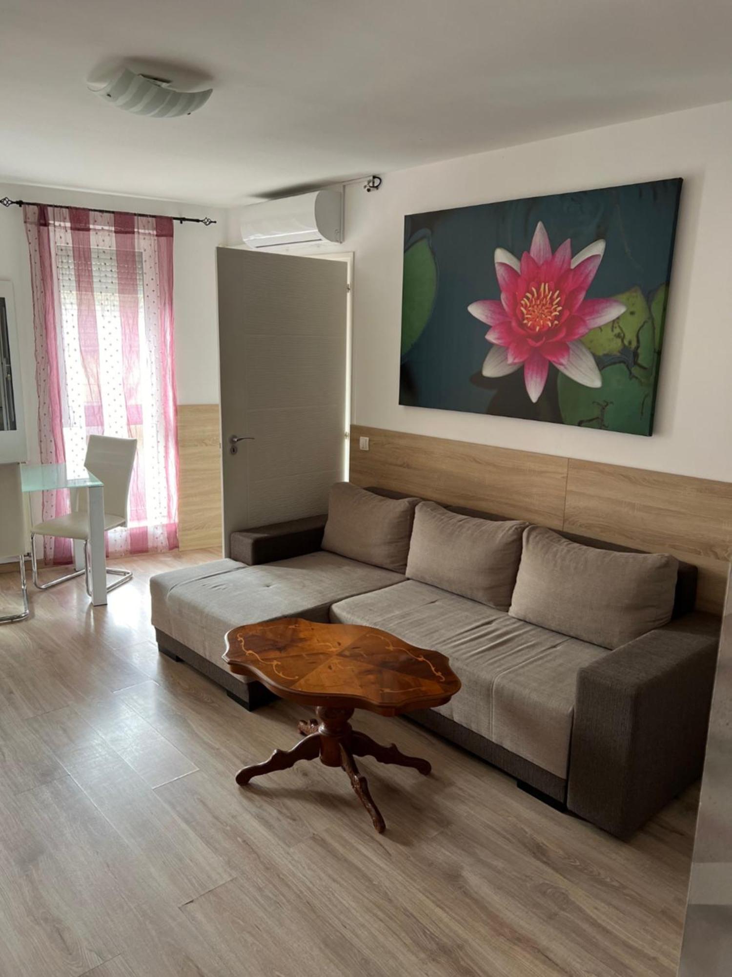 Sweet Dream Guesthouse Сегед Экстерьер фото